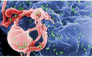 ثبت یک حافظه درسلول‌ توسط عفونت اچ‌آی‌وی