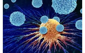 گامی بزرگ در درمان یکی از مرگبارترین سرطان‌ها