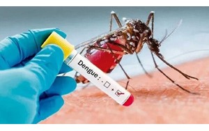 هشدار مهم وزارت بهداشت به مسافران این کشورها درباره بیماری تب دنگی