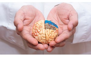 تشخیص بیماری آلزایمر از وضعیت چشم