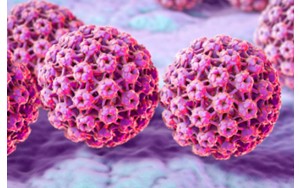 ویروس HPV از استخر منتقل نمی‌شود