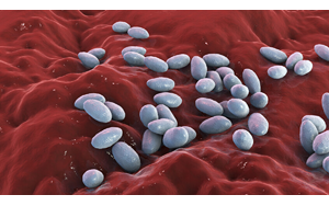 سازوکاری جدید در آنتی بیوتیک‌ها برای مقاومت باکتری‌ها کشف شد