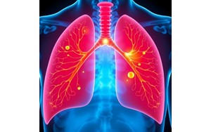 عامل کلیدی توسعه سرطان ریه کشف شد