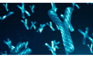 آیا ناپدیدشدن کروموزوم Y به معنای انقراض مردان است؟