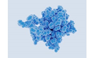 هورمون جدید؛ سلاحی نوین در مقابله با ویروس آنفلوآنزا