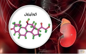 هورمون استرس بدنتان را جدی بگیرید