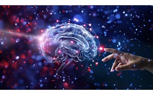 ورزش، هورمون‌ها را سریع‌تر به مغز می‌رساند