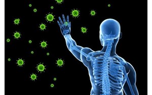 سیستم ایمنی بدن چگونه از تعادل خارج می‌شود؟