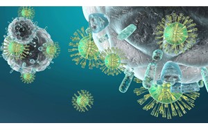 ارتباط بین ذرات ریز و بیماری‌های خودایمنی