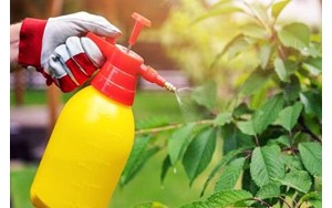 آفت‌کش‌ها میکروب‌های مفید روده‌ را به خطر می‌اندازند