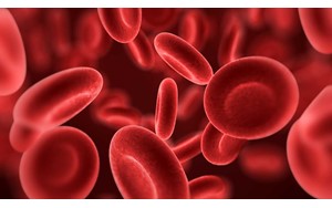 آهن چقدر در بدن می‌ماند و چگونه سطح آن را متعادل نگه داریم؟