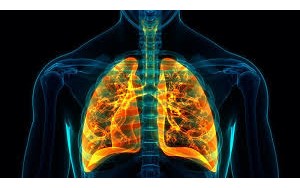 دانشمندان علت جدیدی در موضوع آسیب ریه‌ها پیدا کردند