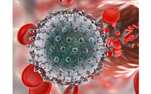 افزایش خطر حمله قلبی در افراد مبتلا به HIV و هپاتیت C