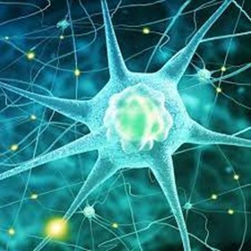 آزمایشگاه تخصصی بیماری های غدد و متابولیسم