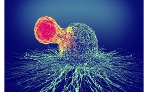 روشی جدید برای درمان سرطان بدون عوارض جانبی