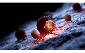 داروی جدیدی که سرطان را به خود تخریبی تحریک می‌کند