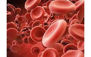 پلاکت؛ کوچک، کم‌عمر اما نجات‌بخش