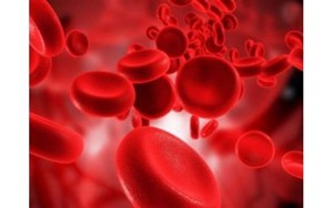 فریتین؛ فراتر از یک عدد در آزمایش خون