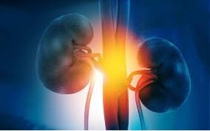 داروی دیابت روند پیری کلیه را کُند می‌کند