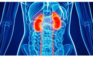 علامت های خاموش که می‌گویند کلیه‌هایتان در خطر است